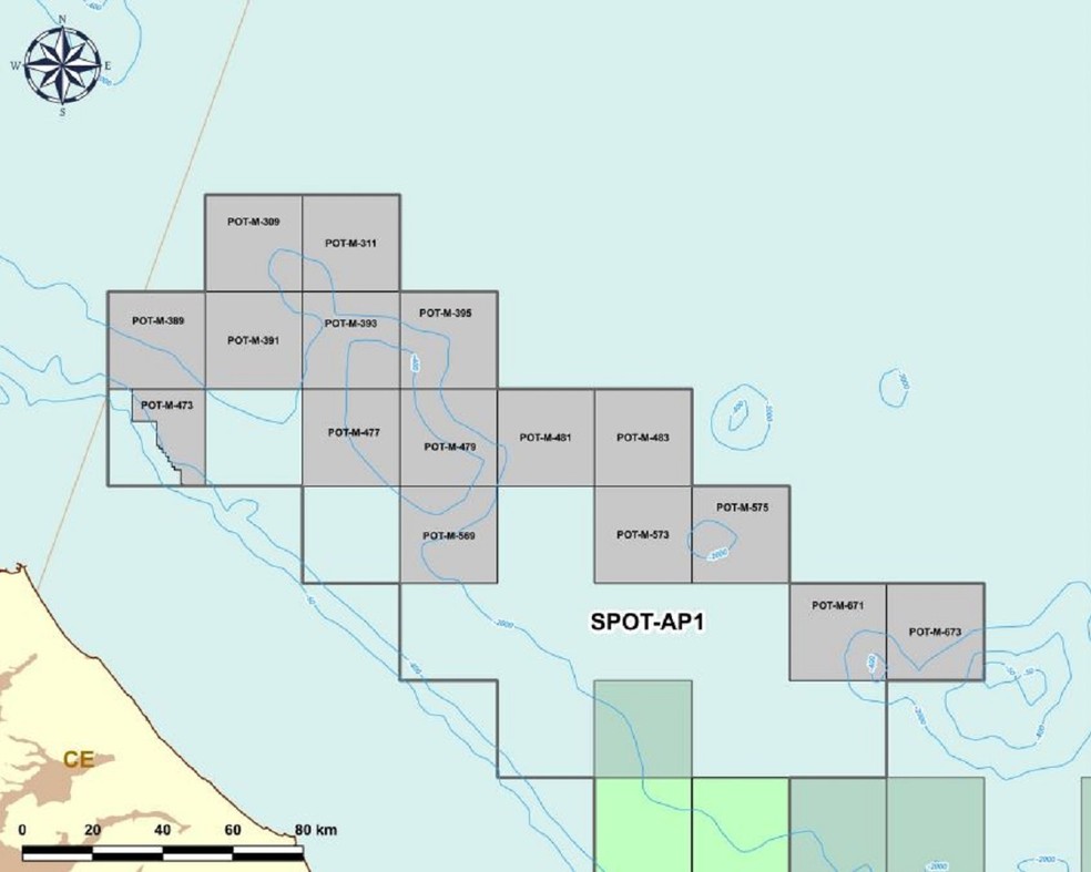 Blocos exploratórios da Bacia Potiguar no leilão da ANP — Foto: Divulgação