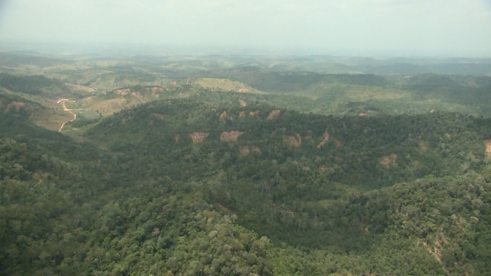 Fazendas funcionavam de forma irregular dentro de Terra Indígena no Maranhão — Foto: Reprodução/TV Mirante