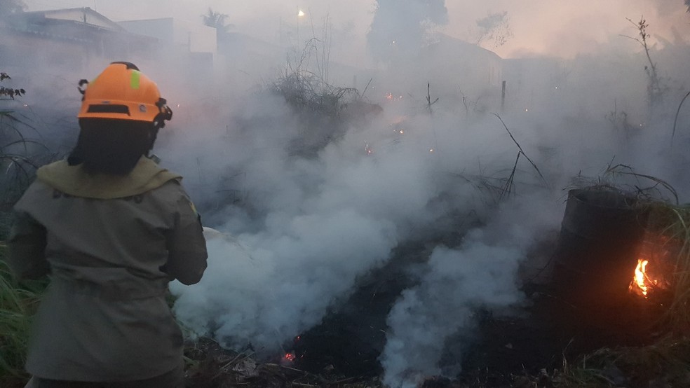 Queima de lixo causa incêndio de grandes proporções no interior do Acre — Foto: Alexandre Lima/Arquivo pessoal