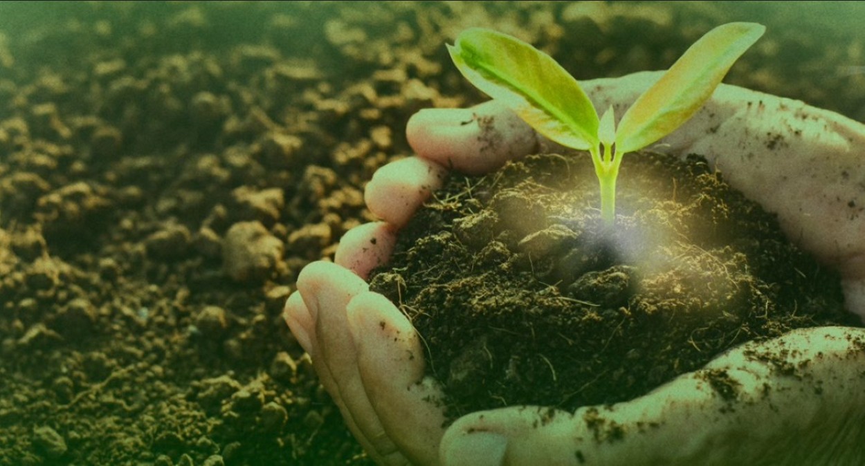 Universidade Ceuma realiza X Fórum do Meio Ambiente; veja programação