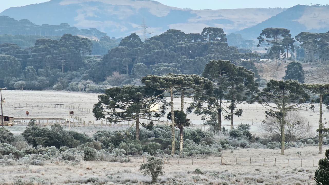 Em mais um dia de frio intenso, cidades de SC amanhecem abaixo de -8°C e com campos brancos de geada
