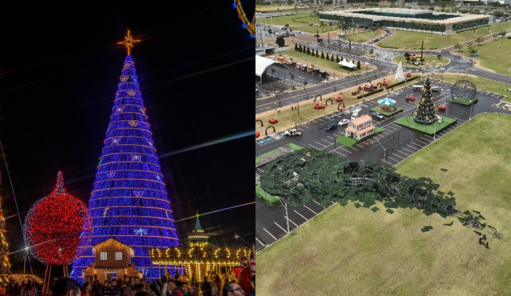 FOTOS: vendaval derruba árvore de Natal de 45 metros em Paulínia