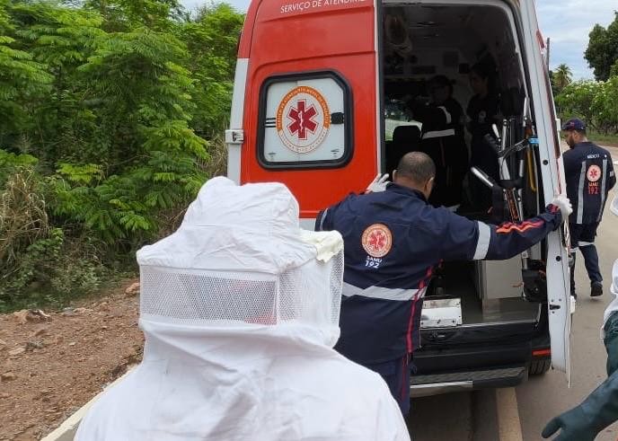 Idoso de 89 anos é atacado por abelhas enquanto trabalhava em fazenda na Bahia