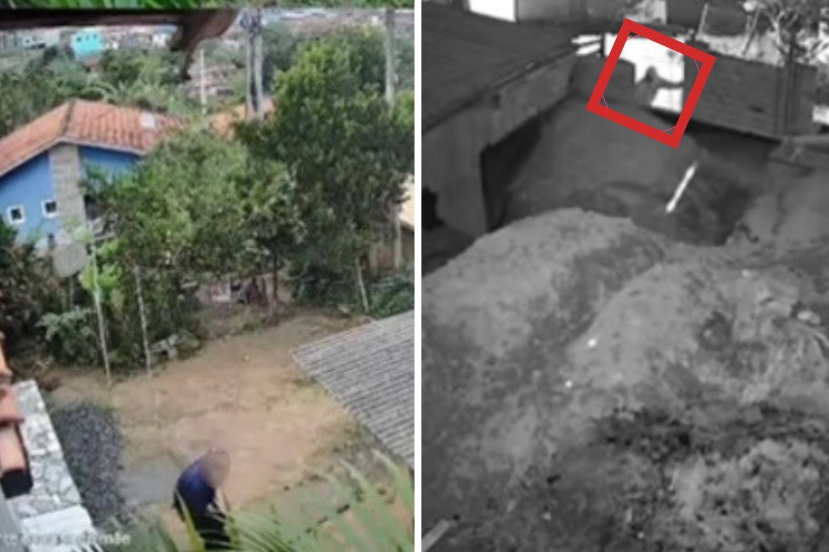Homem finge desmaio, é ajudado por idosa e furta a casa dela dias depois no interior de SP; VÍDEO