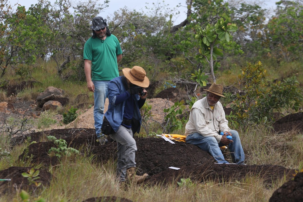 Pesquisadores da Universidade Federal de Roraima (UFRR) encontram pegadas de dinossauro em Roraima. — Foto: JPavani/Reprodução