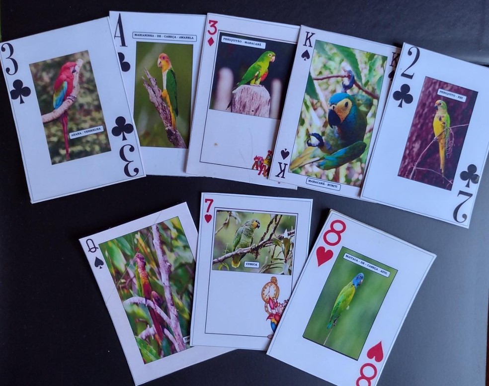 Produtos da categoria Jogos de cartas à venda no Manaus