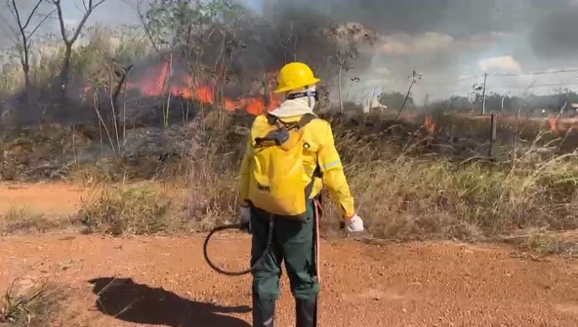 Governo de Rondônia proíbe uso de fogo para combater queimadas