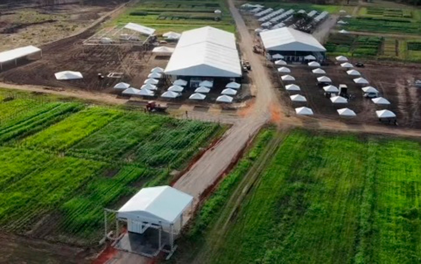 Sebrae/CE oferta consultorias e atendimento especializado na ExpoCariri 2025