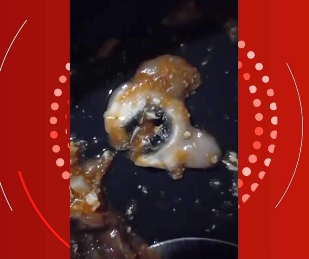 Moradora encontra 'tecido de animal' dentro de molho de tomate — Foto: Arquivo pessoal