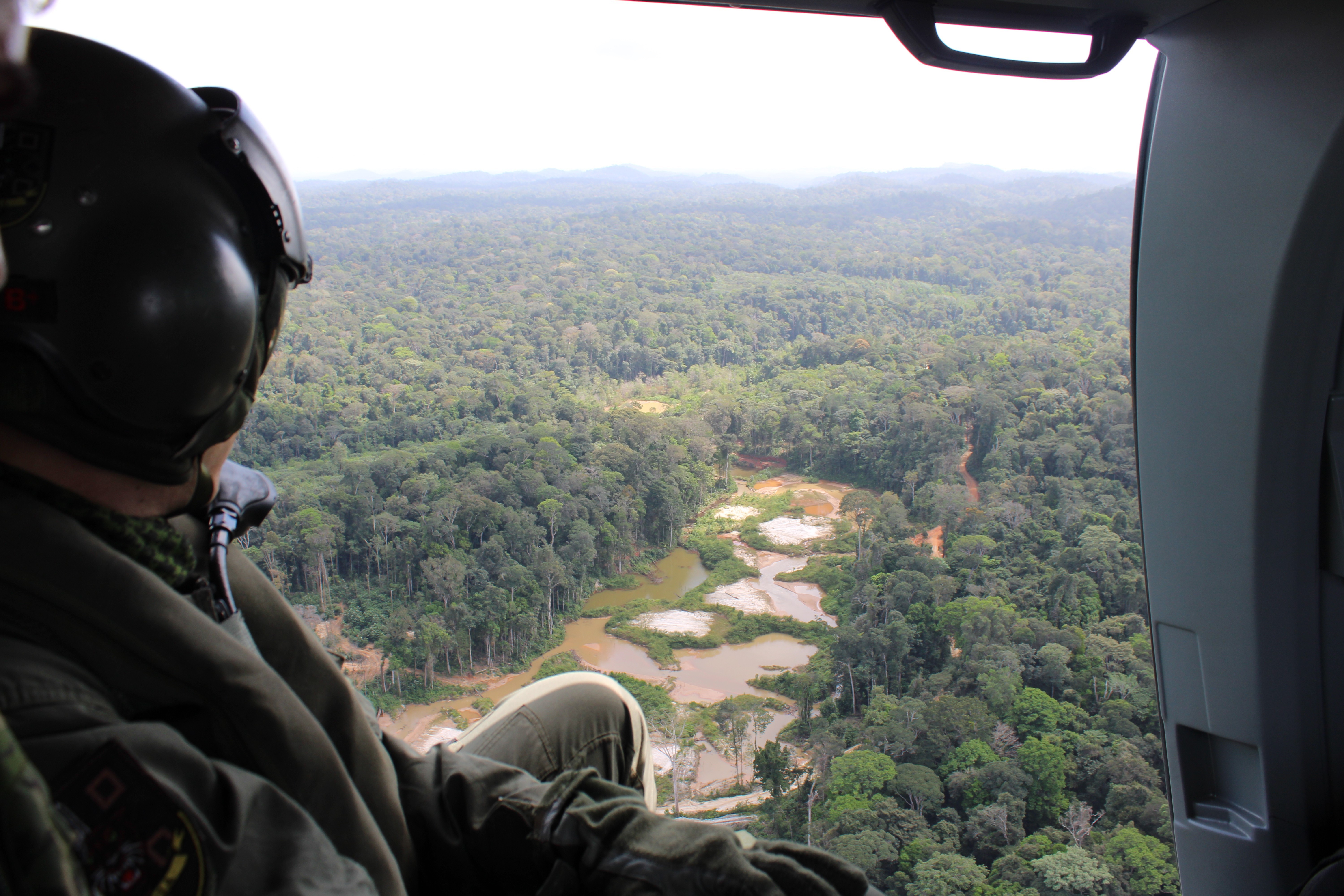 Cooperativa é condenada a pagar R$ 106,7 milhões por crimes ambientais no Amapá