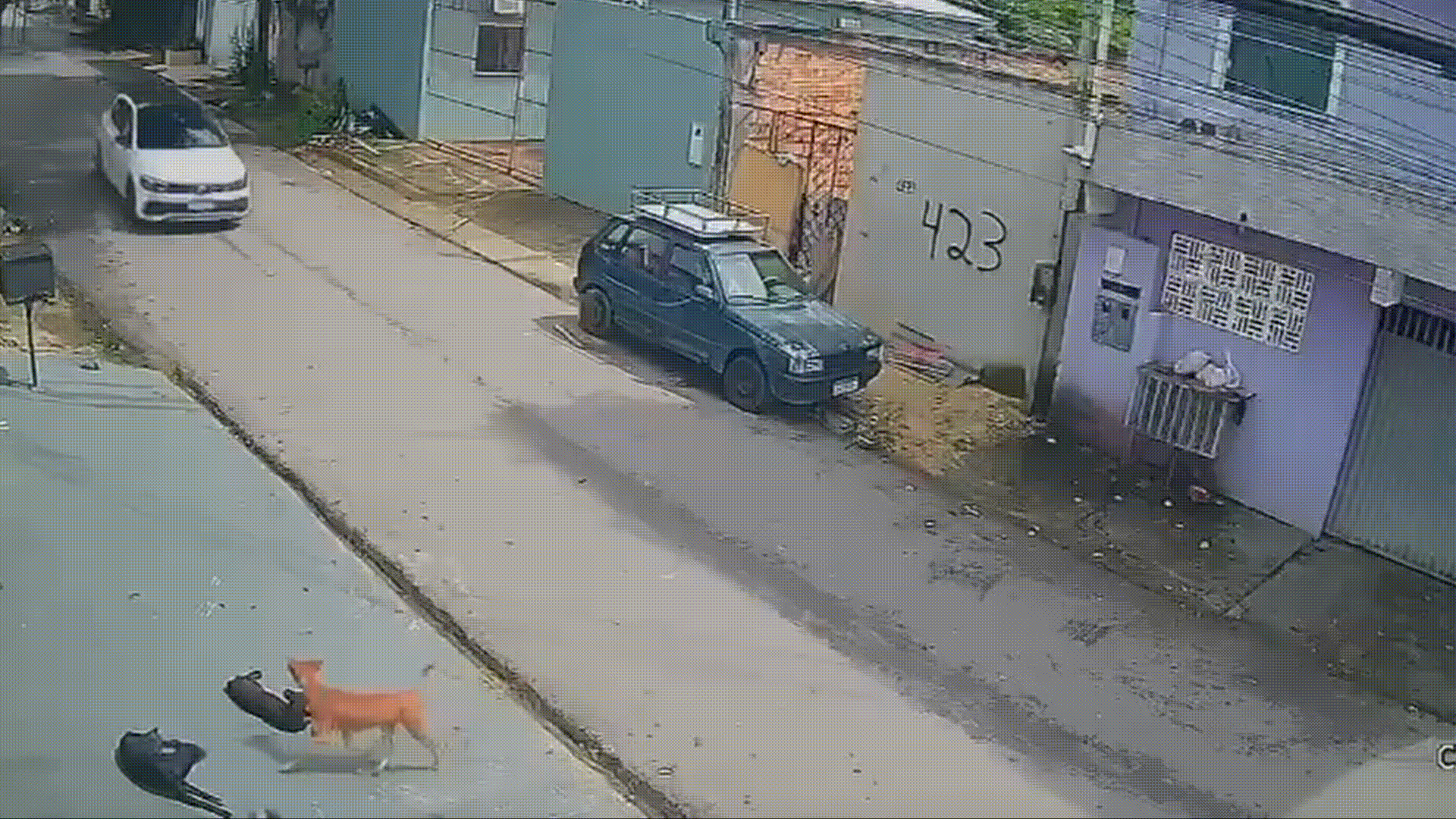 Cachorro morre e cinco ficam feridos após atropelamento em calçada de Manaus; dois seguem internados
