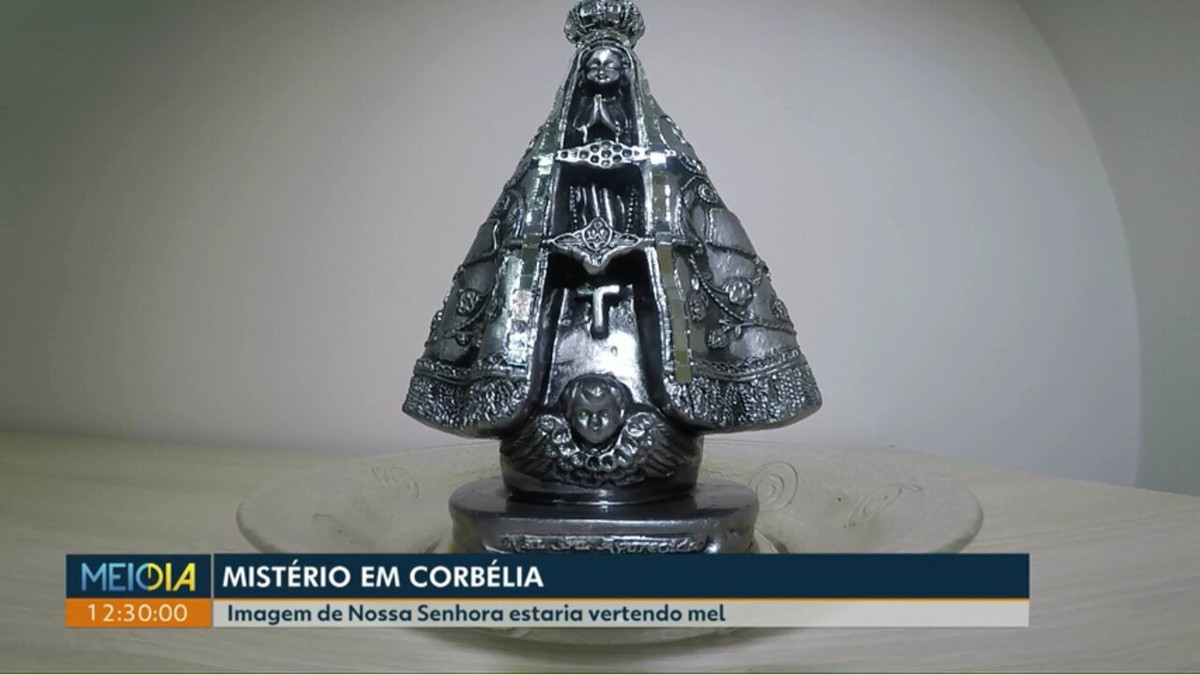 Devota de Nossa Senhora Aparecida diz