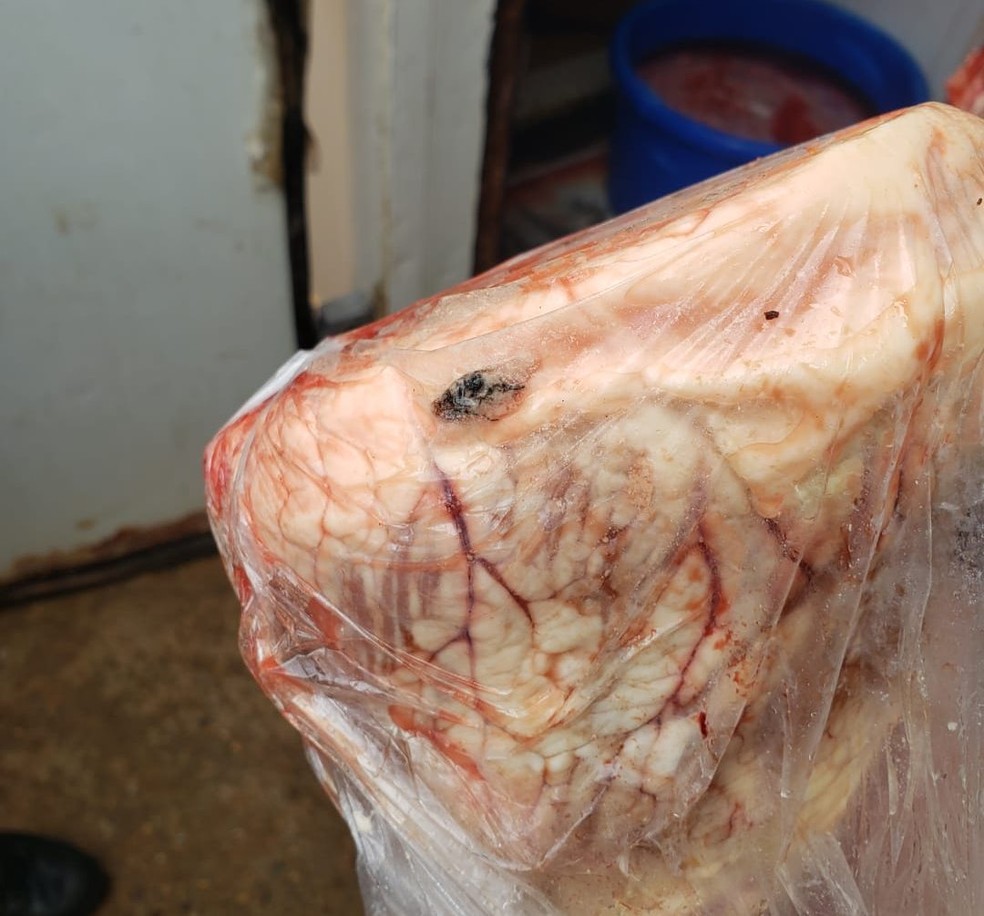 Polícia apreendeu 850 kg de carne imprópria para consumo — Foto: Divulgação