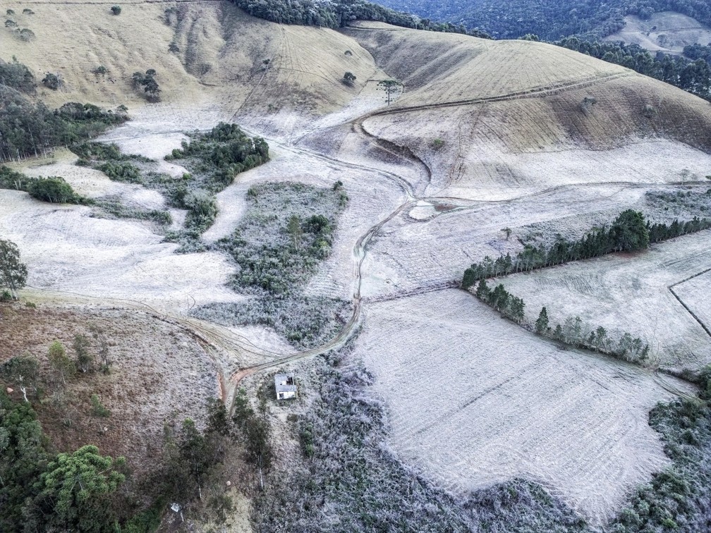 Frio em Maria da Fé (12/08/24) — Foto: William Siqueira