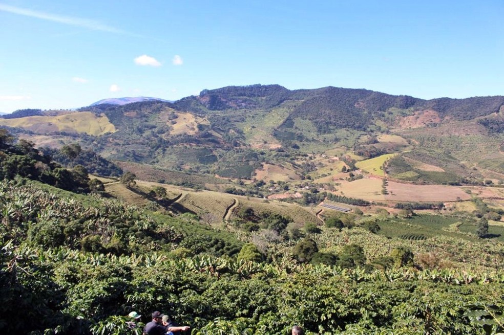 Sul de Minas se destaca na produção de cafés especiais — Foto: Divulgação / BSCA