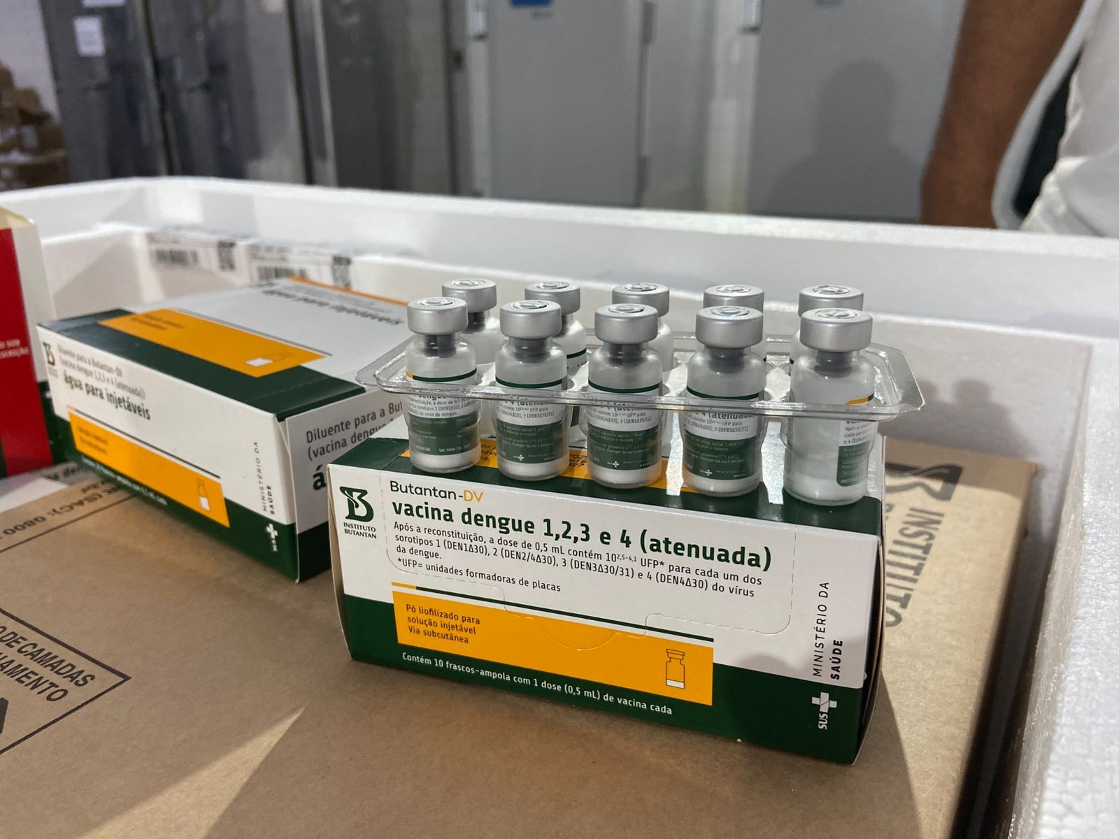 Limeira segue Ministério da Saúde e suspende vacina da dengue do Butantan