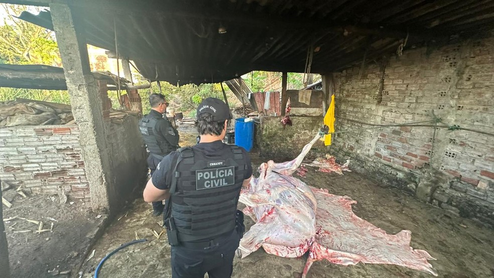 Polícia Civil fechou abatedouro clandestino na última sexta (25) em Natal — Foto: Polícia Civil/Divulgação