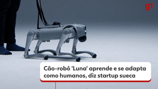 VÍDEO: cão-robô 'Luna' aprende e se adapta como humanos, diz startup sueca  - Empresa de IA IntuiCell anunciou, inclusive, que vai contratar um treinador de cães para ensinar o novo 'pet' a andar.
