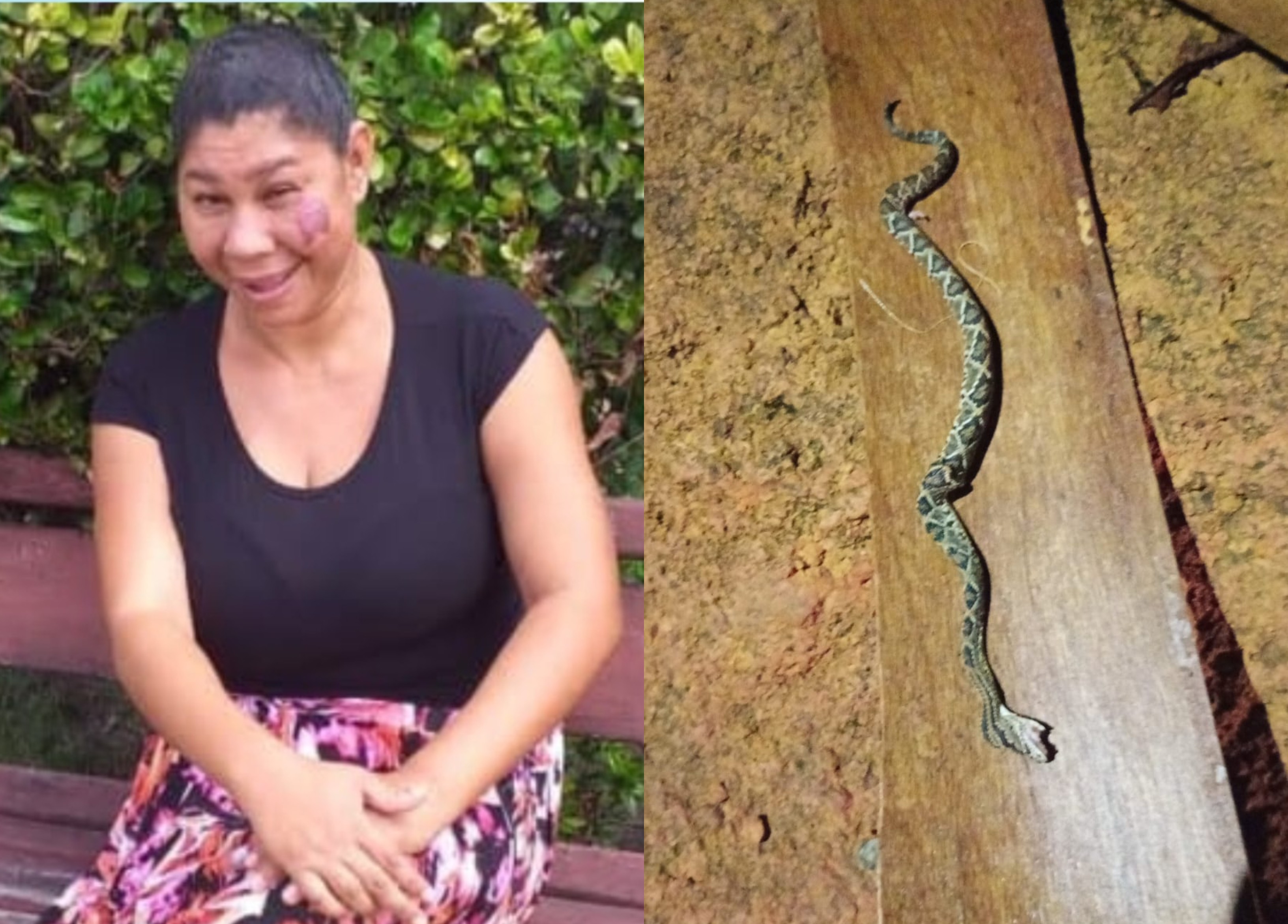 Mulher é picada ao confundir cascavel com corda e morre, em Roraima