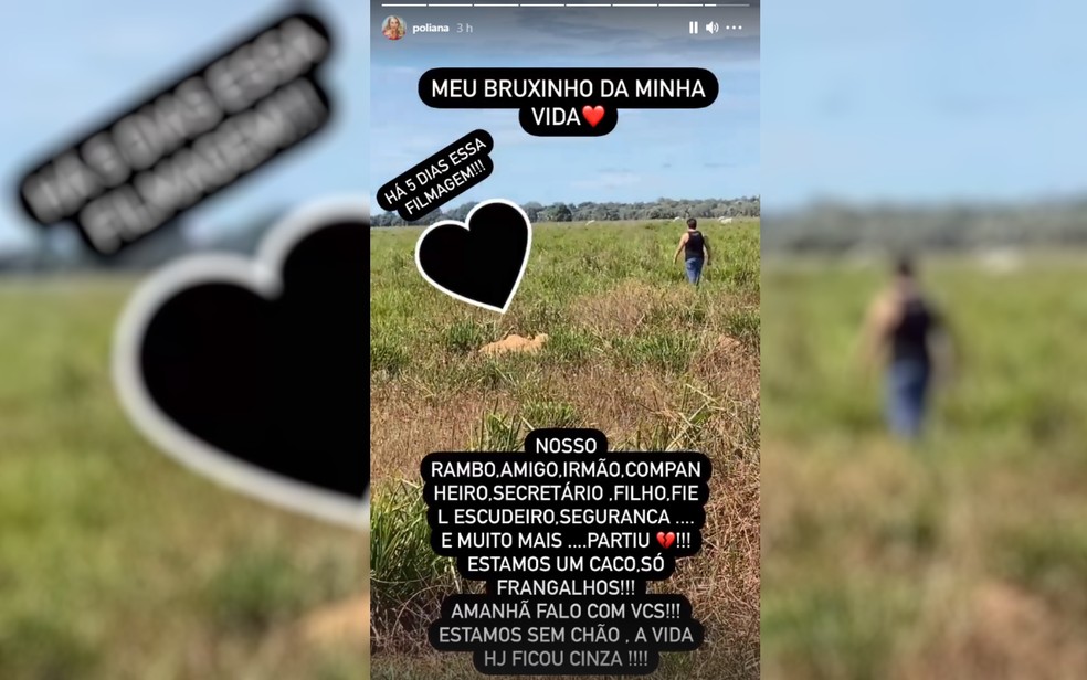 Esposa do cantor Leonardo lamenta morte de assessor: 'Estamos sem chão' |  Goiás | G1