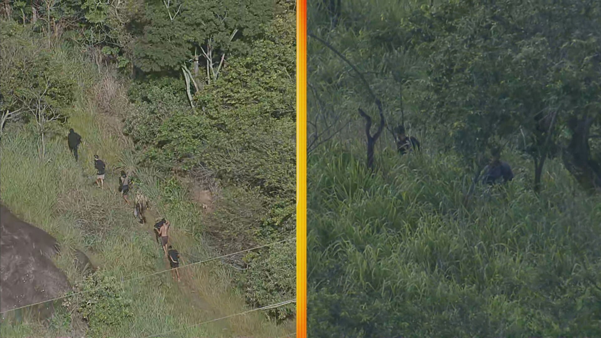 Bandidos armados fogem pela mata durante operação no Morro do Fubá, no Campinho