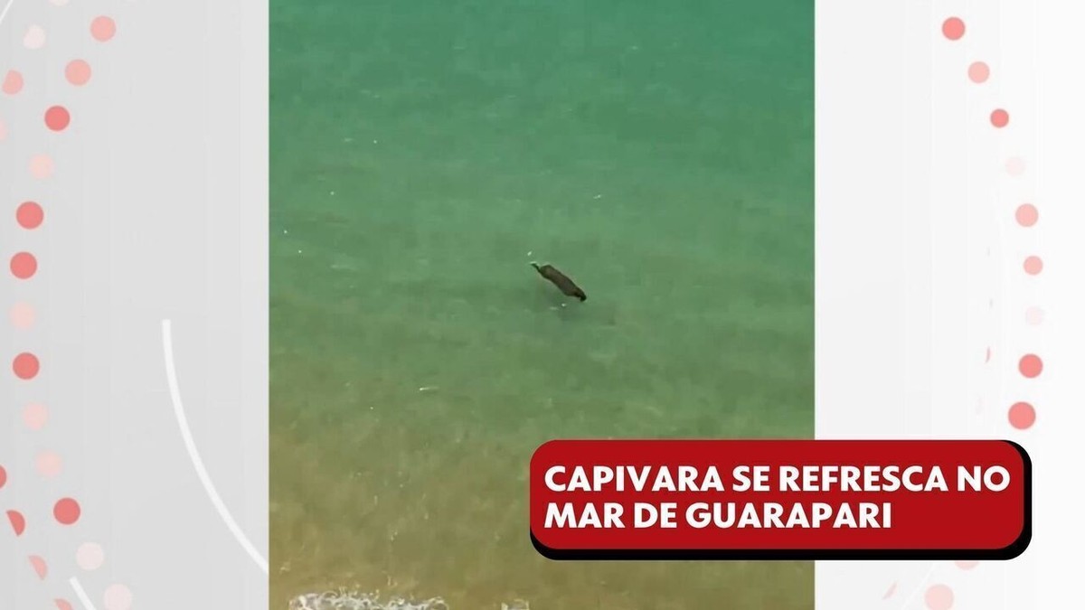 Capixaba é flagrada tomando banho de mar em Guarapari