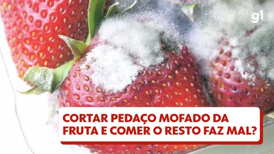 Fungo da série The Last of Us pode afetar humanos e causar nova pandemia? Entenda o que diz a ciência - Estudo analisou o que pode acontecer com os fungos a partir das mudanças climáticas e faz um alerta sobre o risco para a saúde. 