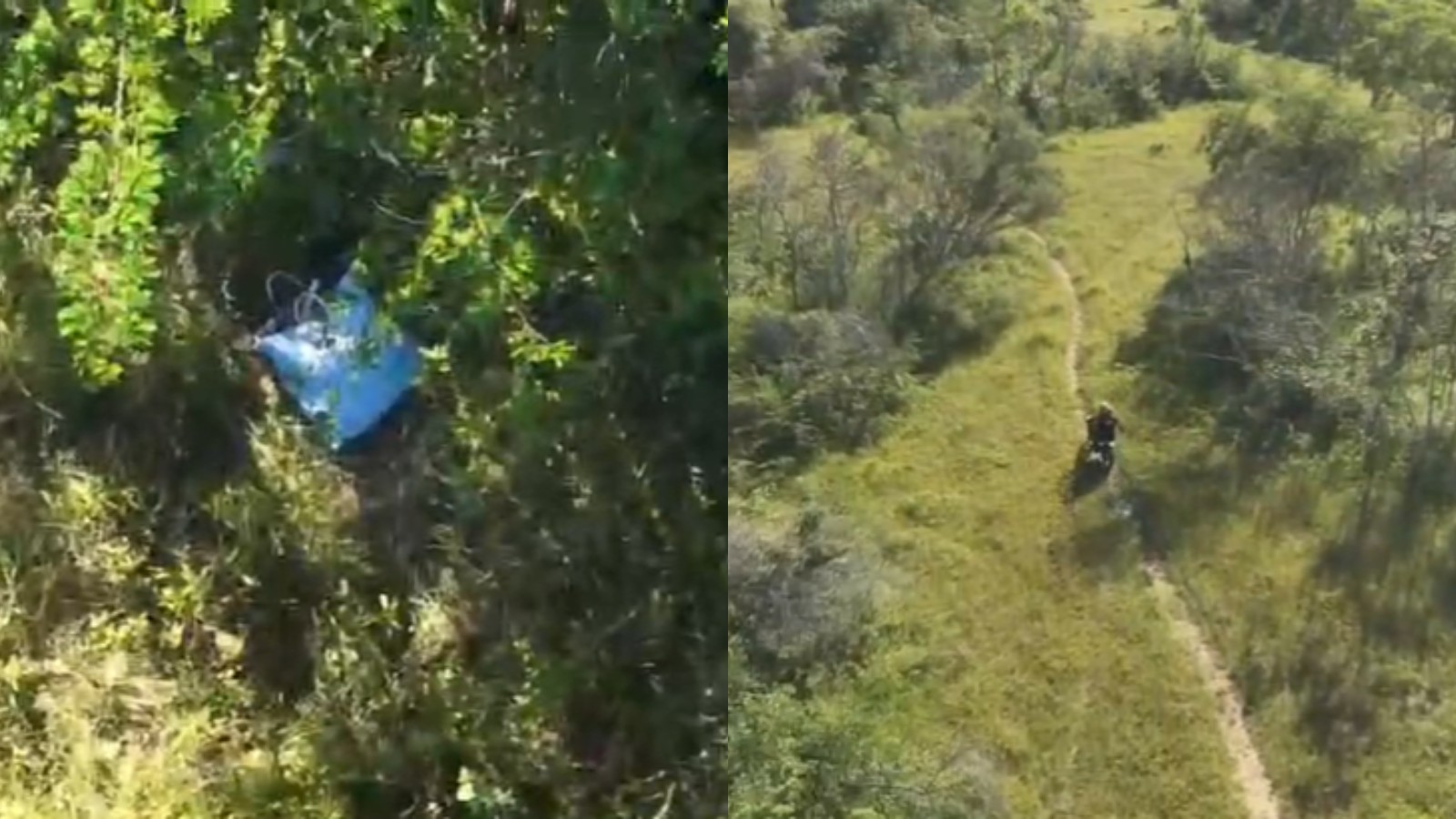 Corpo é achado em mata no PI e pode ser de idoso que desapareceu após sair para colher cascas de árvores, diz polícia