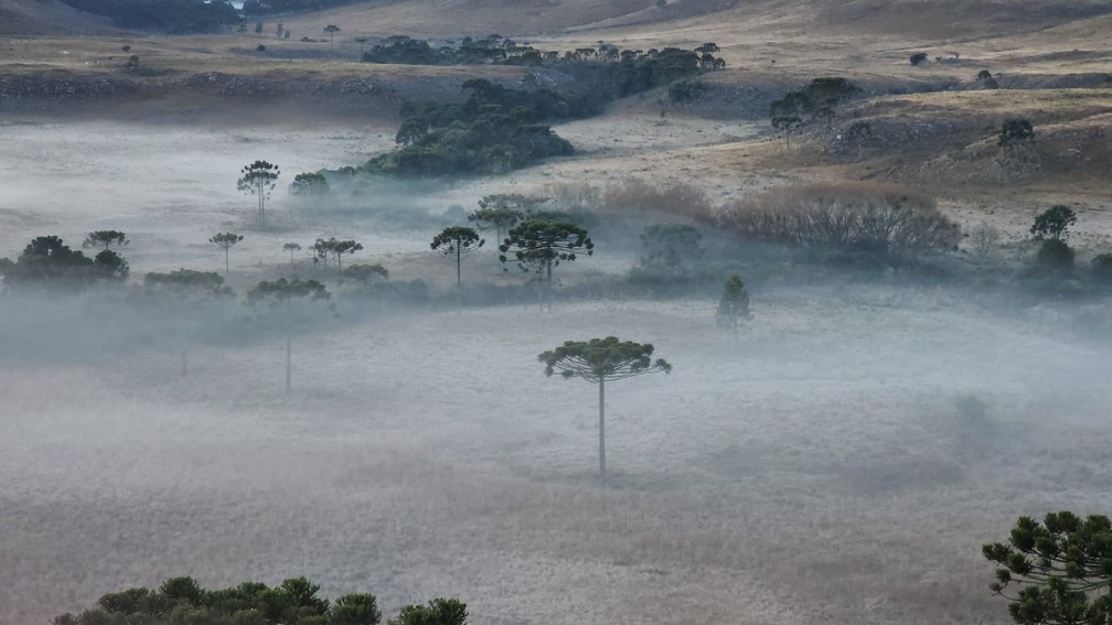 Amanhecer de 6 de julho de 2023 no Vale do Caminhos da Neve, em São Joaquim — Foto: Mycchel Legnaghi/São Joaquim Online