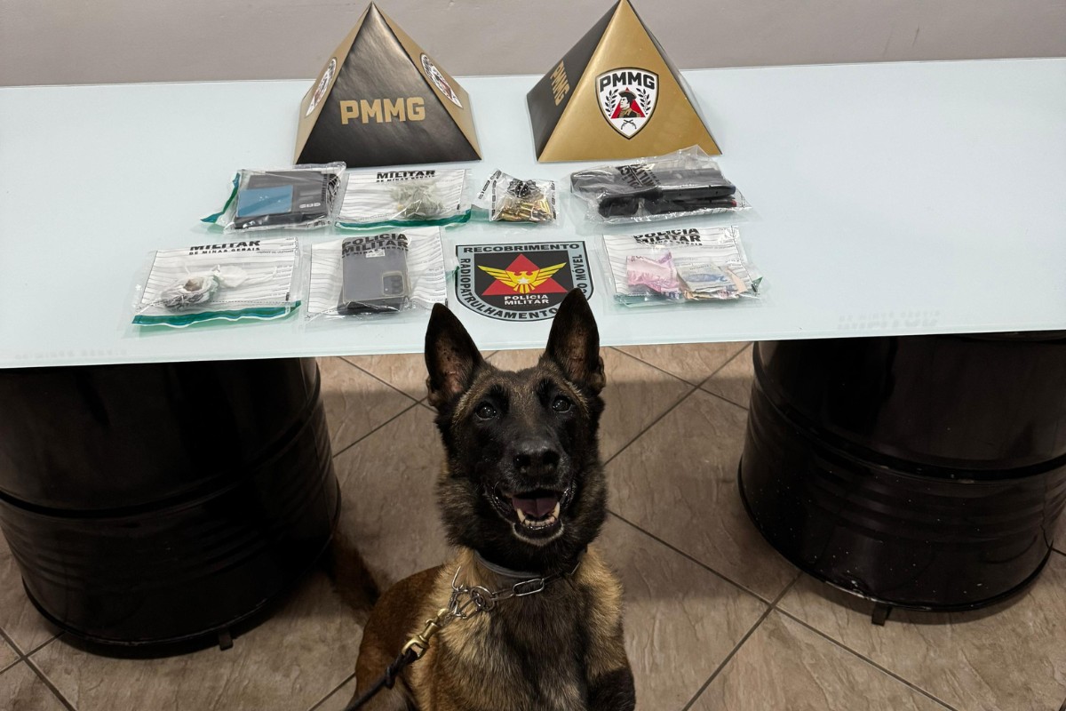 Cadela auxilia em prisão de suspeito e apreensão de drogas, celulares, arma e dinheiro em Governador Valadares