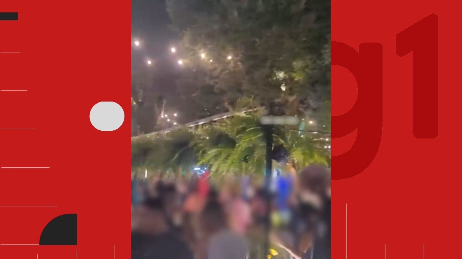 Cerca de 500 samambaias são furtadas em festival de música na Bahia