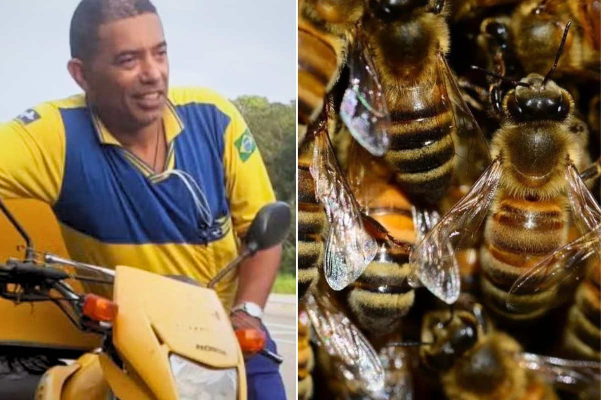 Carteiro morre após ser atacado por abelhas durante entrega no litoral de  SP | Santos e Região | G1