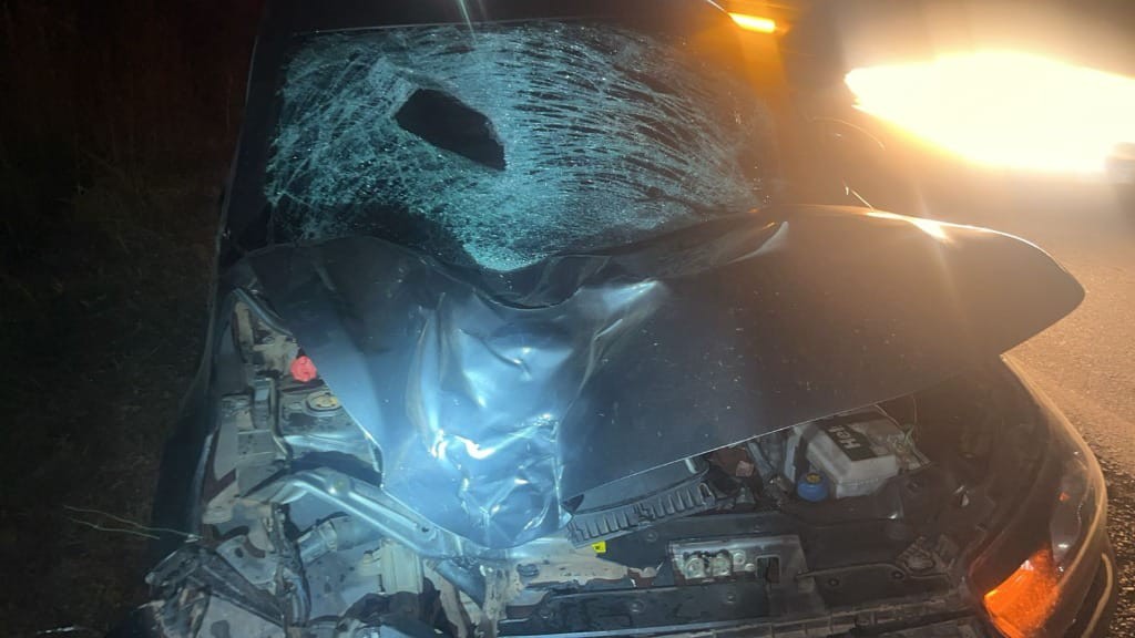 Pedestre morre após ser atropelado na BR-316, em Peritoró