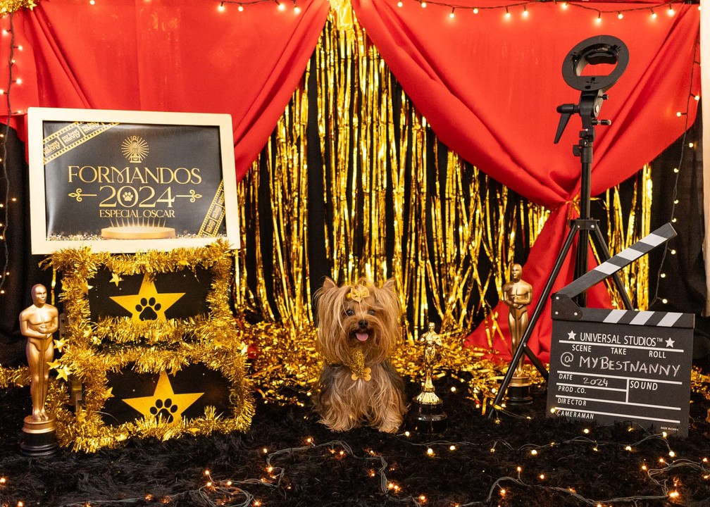 Cães participaram de ensaio de formatura — Foto: Amany Mourtada