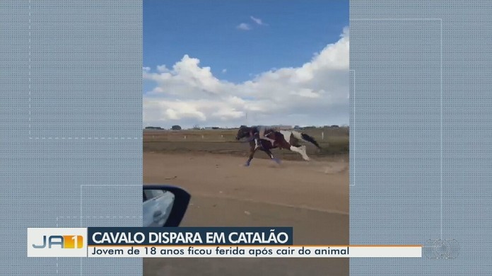 Polícia do Pernambuco prende homens matando cavalo pra vender na feira -  Jornal Tribuna Ribeirão