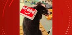 Chico com mochila de delivery. — Foto: Karina Barros/Divulgação