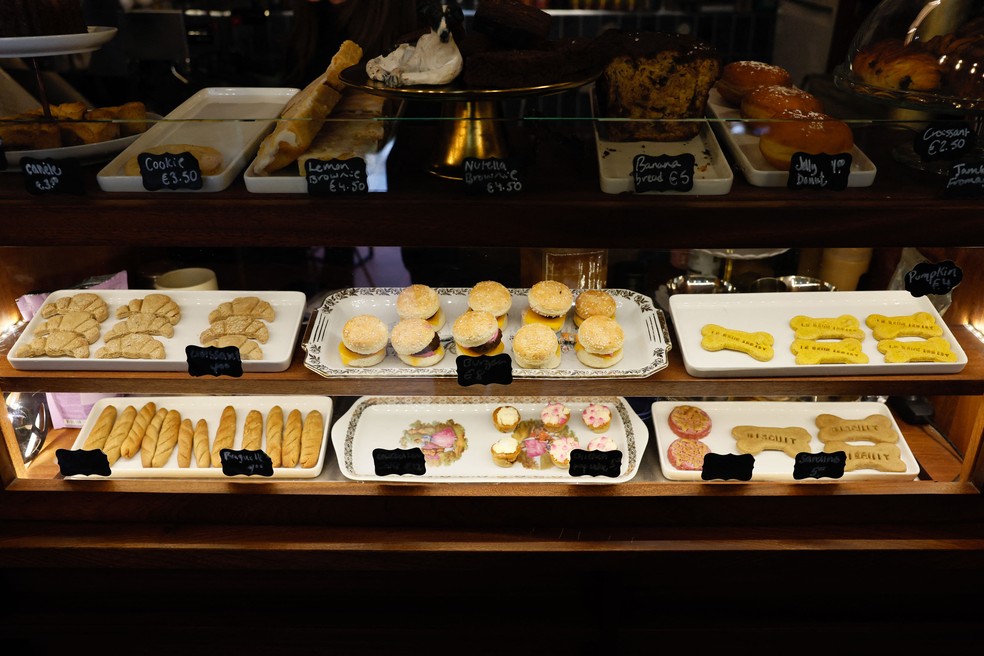Entre doces gourmet e cafés pet friendly, cães ganham rotina cada vez mais “humana” — Foto: Photo by Xavier GALIANA / AFP)