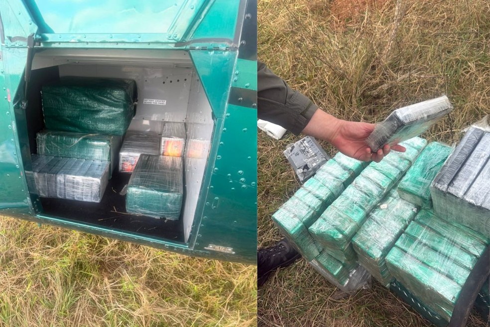 A quantidade total de droga apreendida foi de 345,8 quilos. — Foto: DOF/Divulgação
