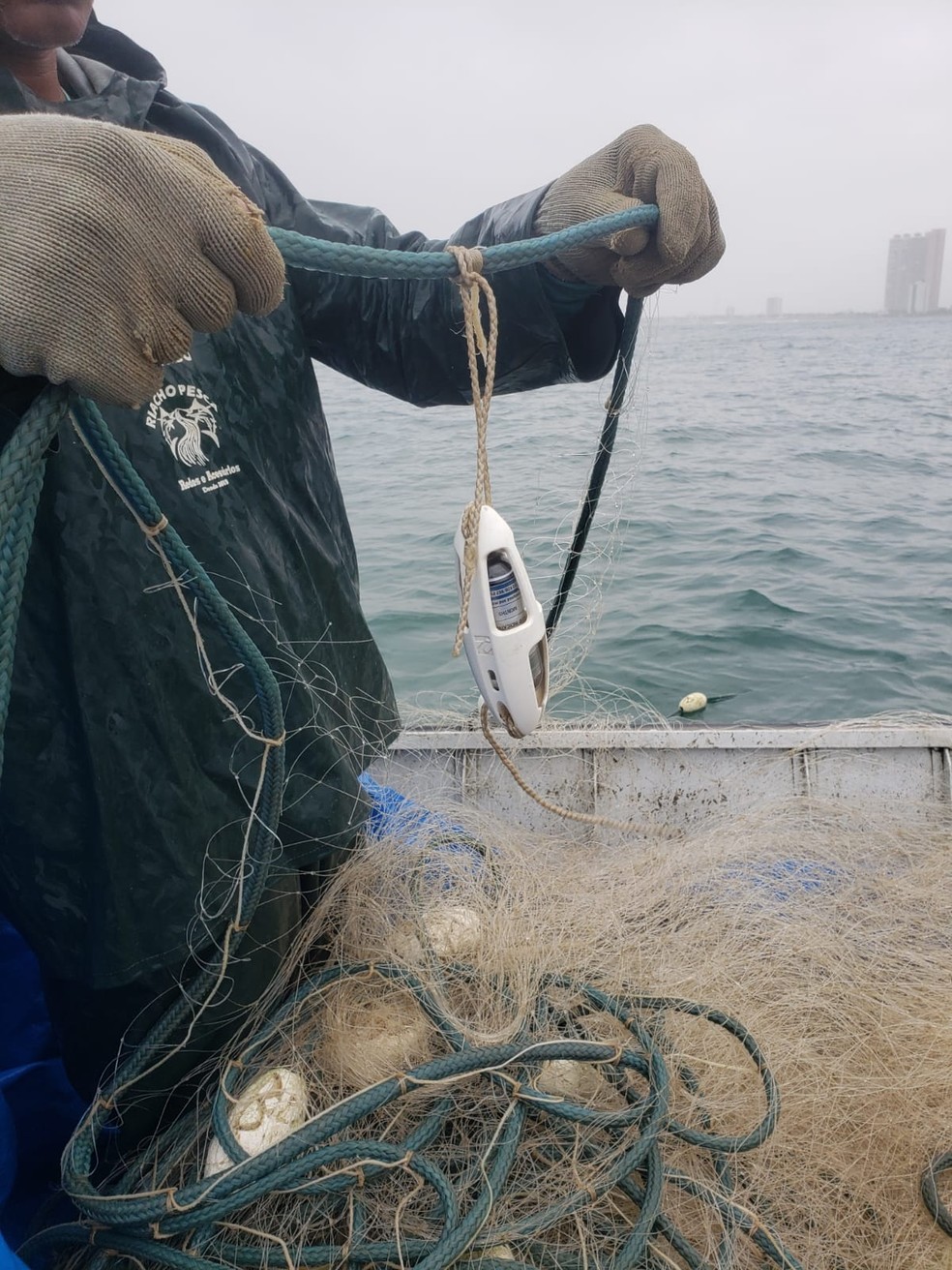 Alarmes instalados em redes de pesca ajudam salvar da extinção as toninhas, aponta estudo — Foto: Toninhas do Brasil/ Divulgação