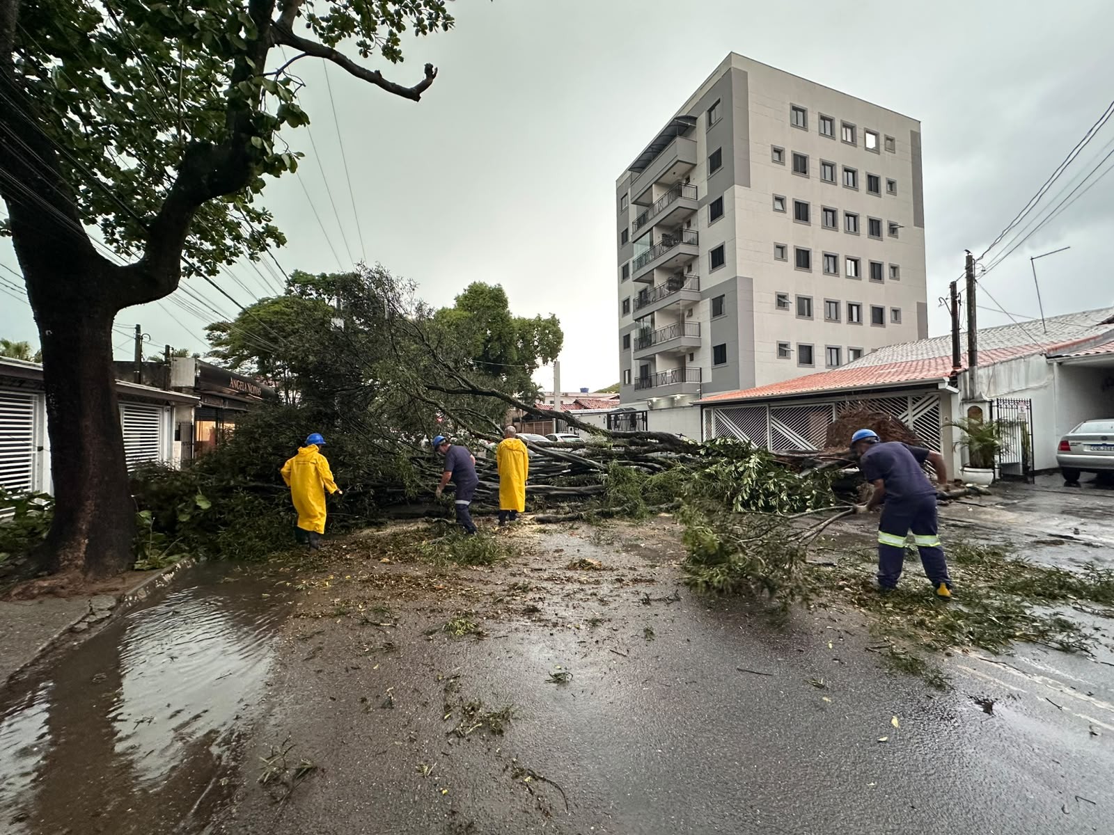 Temporal provoca alagamentos, queda de árvores e granizo em cidades do Vale do Paraíba e região