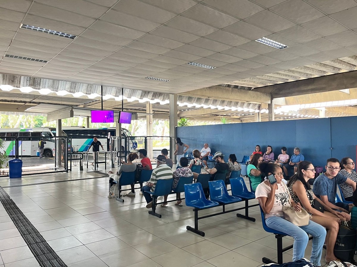 Finados: Transpasse espera aumento de 15% na movimentação de ...