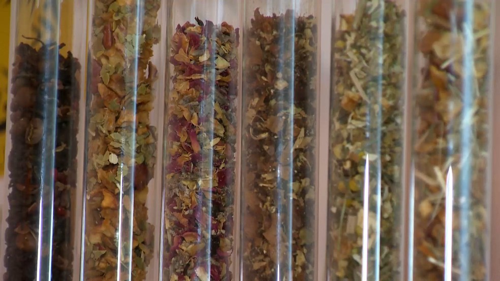 Ervas cultivadas em Santa Maria de Jetibá viram chás premiados na França e chegam a vários estados do Brasil. Espírito Santo — Foto: TV Gazeta