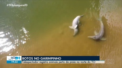 Telespectador registra botos perto de praia no Tocantins