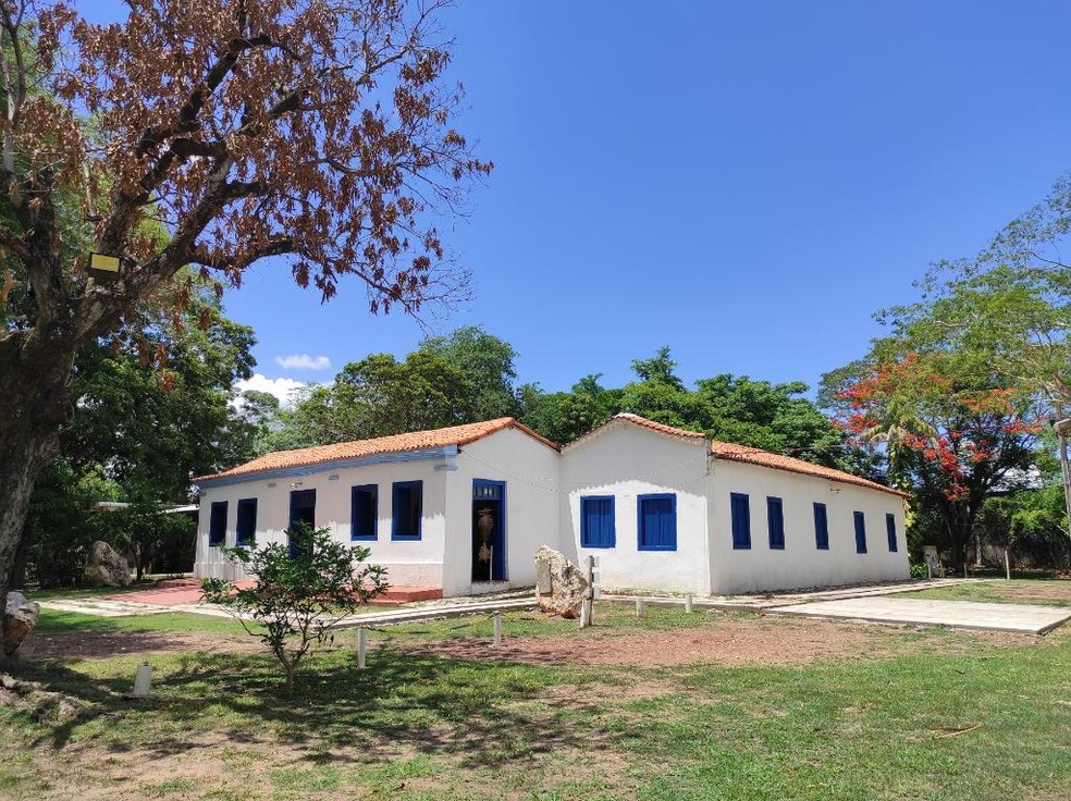 Museu de Hist�ria Natural de MT � Foto: Secel-MT