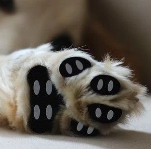 Protetores de patas antiderrapantes para cães