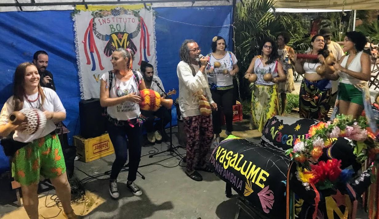 Boi-Bumbá, poesia e resistência: conheça cortejos e festas juninas que mostram a potência da periferia de Belém