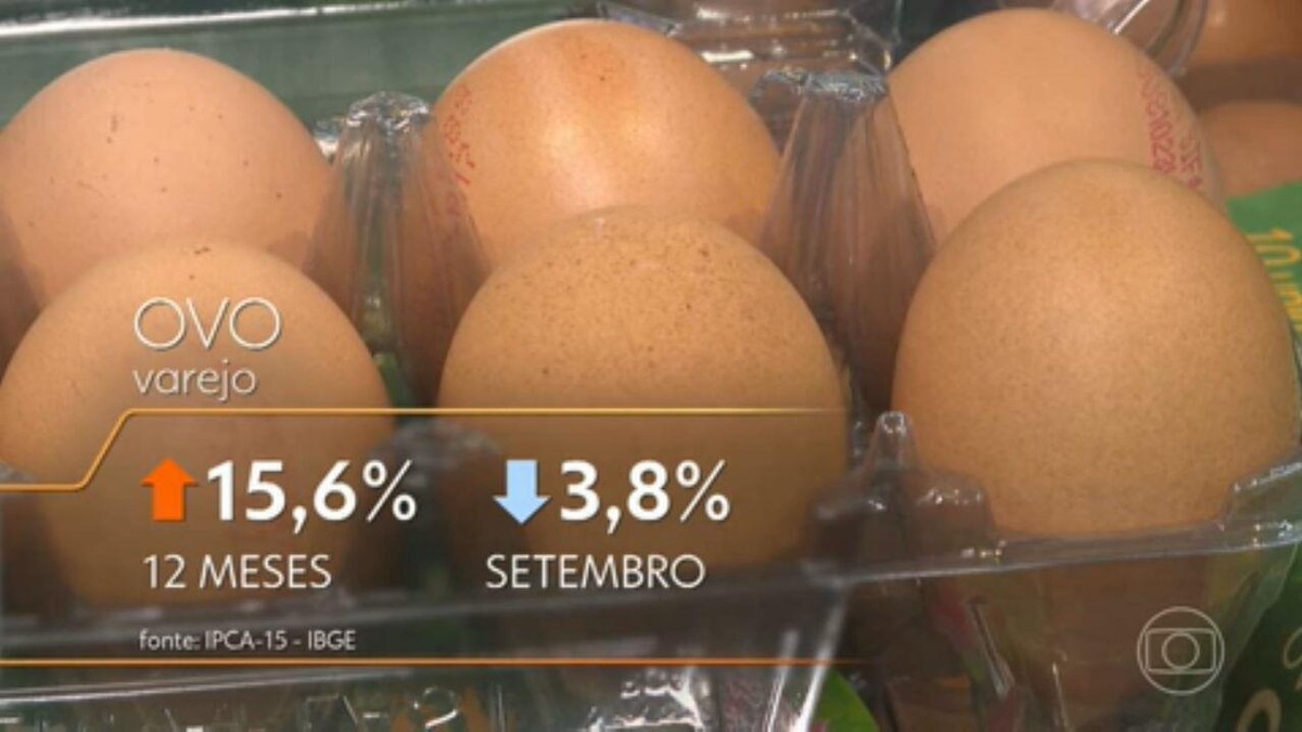 Calor e outros fatores fazem o preço do ovo cair nas últimas semanas ...