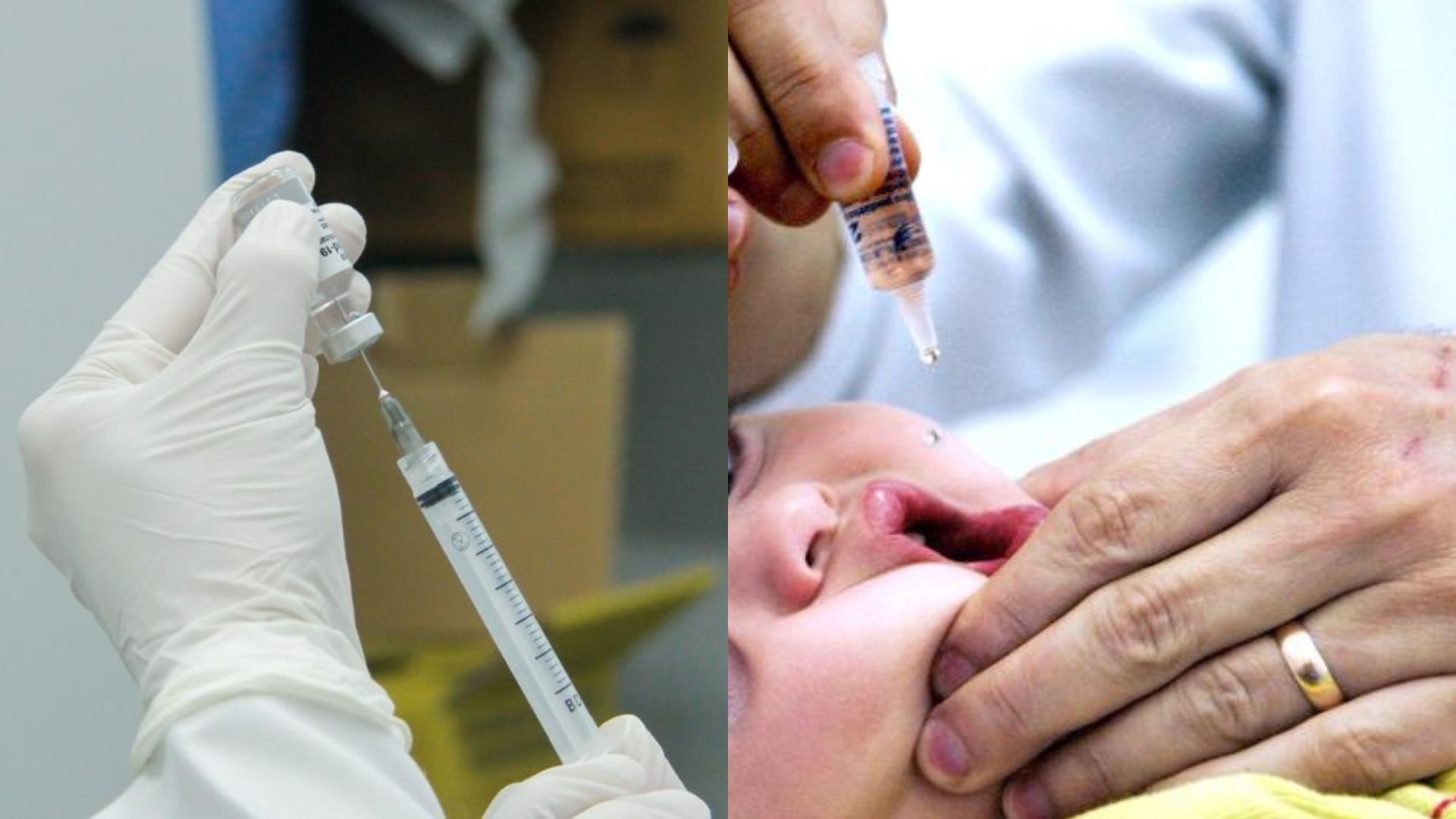 Cidades do centro-oeste paulista promovem 'Dia D' contra pólio e de multivacinação neste sábado; veja onde se vacinar 