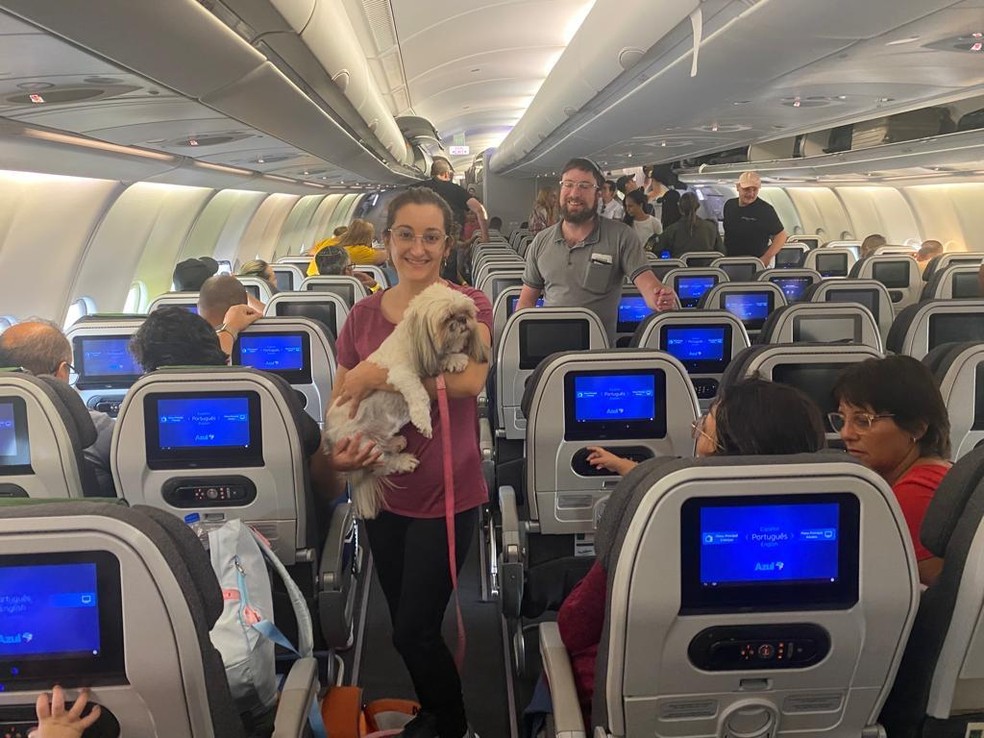 Brasileira embarca com cachorro, em Tel Aviv, no segundo voo de repatriação organizado pelo governo — Foto: FAB/Governo Federal/Divulgação