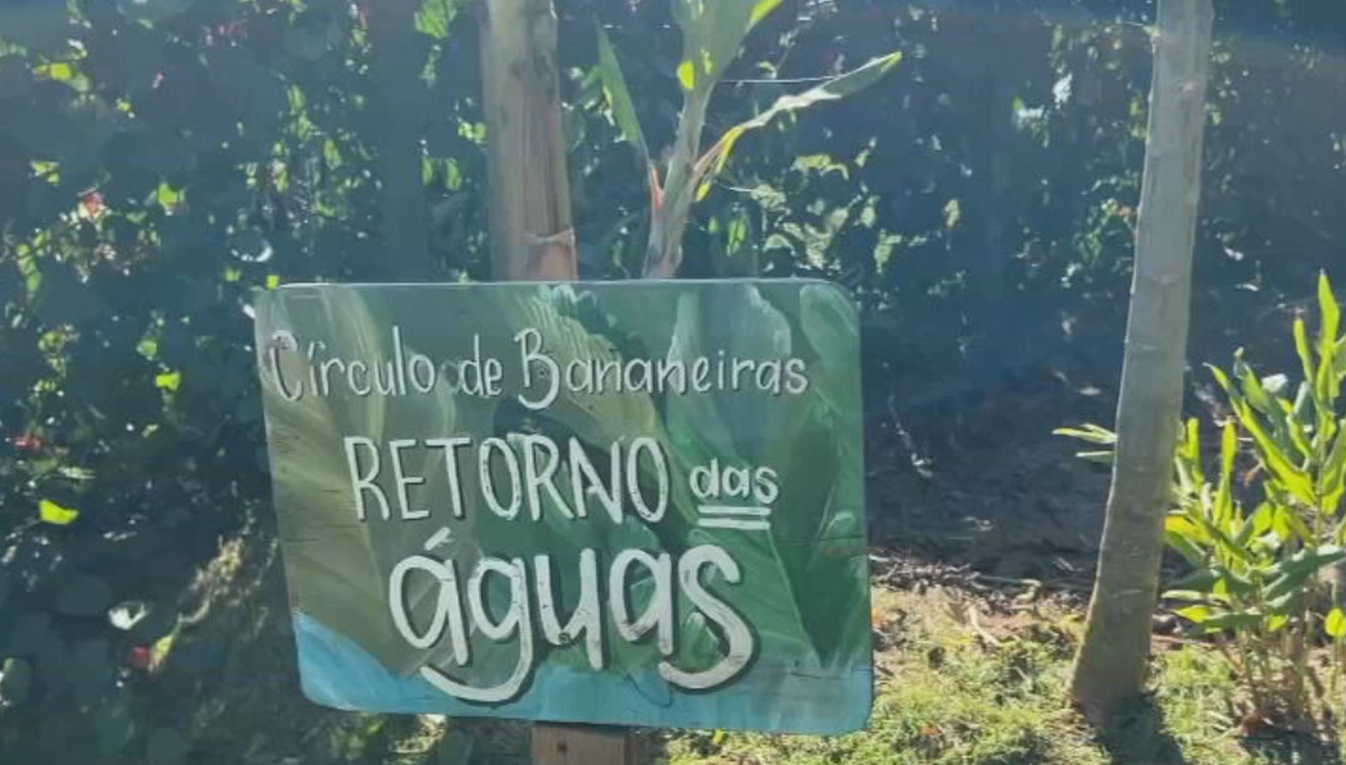 Tem Solução:  Agroecologia e reflorestamento transformam paisagens e ajudam a preservar a natureza no interior de SP